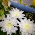 IMG 20190608 171623