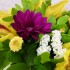 IMG 20190616 173151