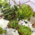 IMG 20190620 180043