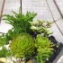 IMG 20190620 174702