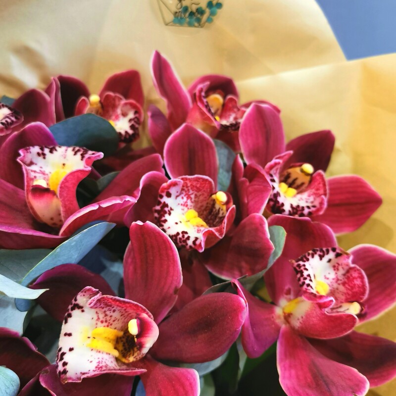 Букет из орхидей "Богема"