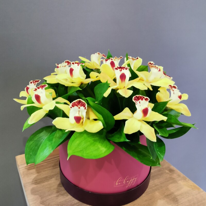 Композиция с орхидеями "Стильная штучка"