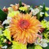 IMG 20200413 105227