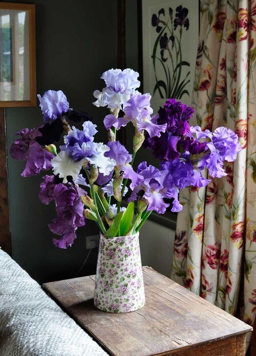 e185937beffb4aad5d673e39240d0571--iris-flowers-purple-flowers